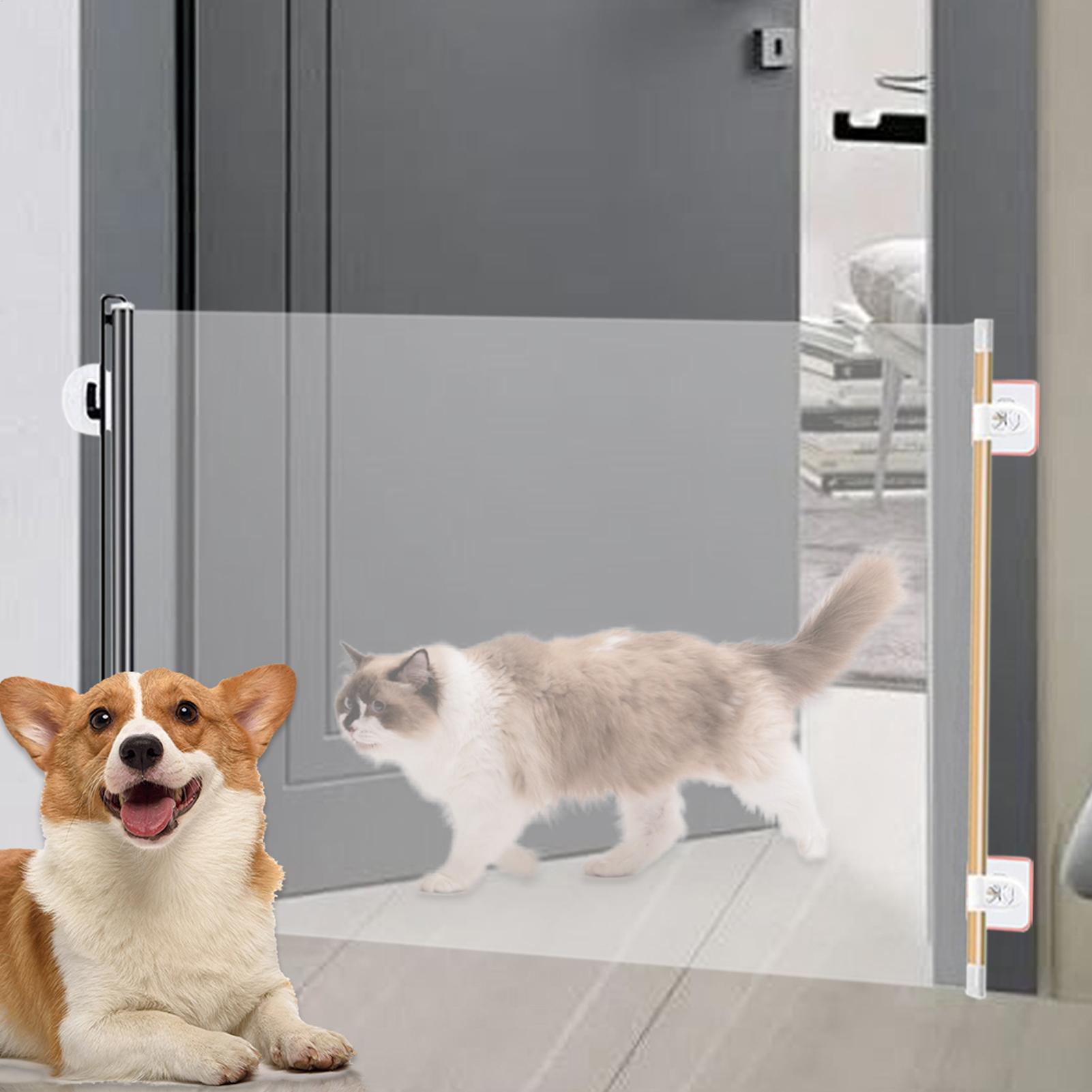 Barrera Retráctil Portátil par - Partition Screen Divider reseña y precio